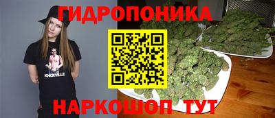 индика Гусь-Хрустальный