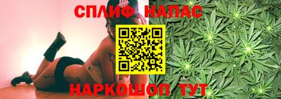 индика Гусь-Хрустальный