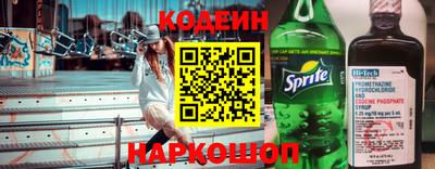 индика Гусь-Хрустальный