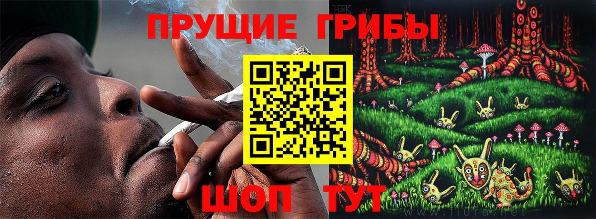 Ярославль  Псилоцибиновые грибы мицелий  продажа наркотиков  Галлюциногенные грибы GOLDEN TEACHER  Вход с VPN 