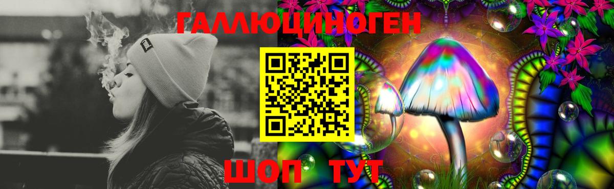 Псилоцибиновые грибы Psilocybe Ярославль